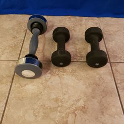 10lb Dumbbell Set & 5lb Shaker Weight