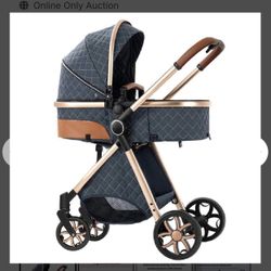  2 in 1 Baby Stroller,Infant Stroller Convertible,High Landscape Baby Carriage,Foldable Pushchair with Adjustable Canopy(Blue) 