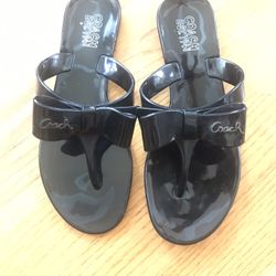 Flat Coach Hard Plastic 