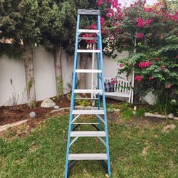 Werner Fiberglass Step Ladder