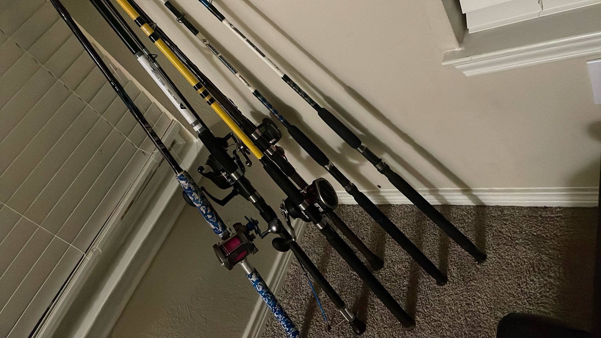 Fishing Rods