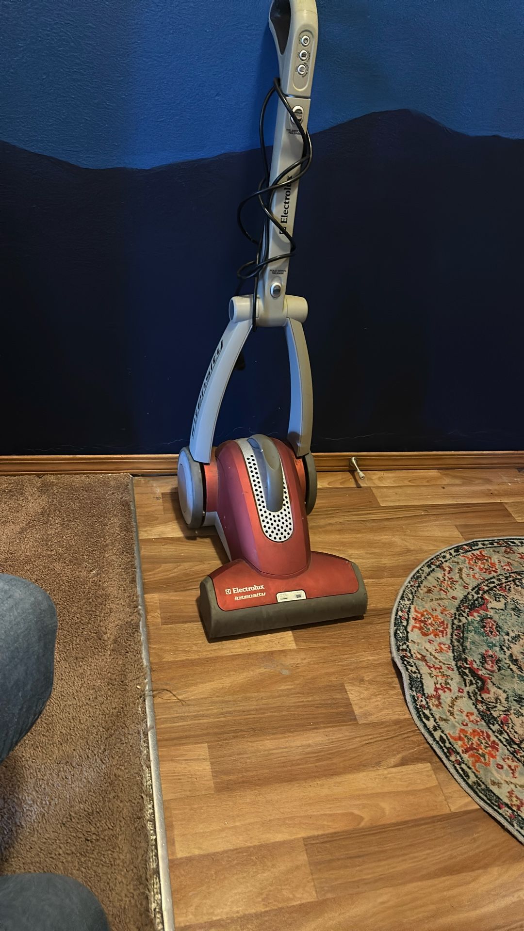 Electrolux Intensity Vacuum