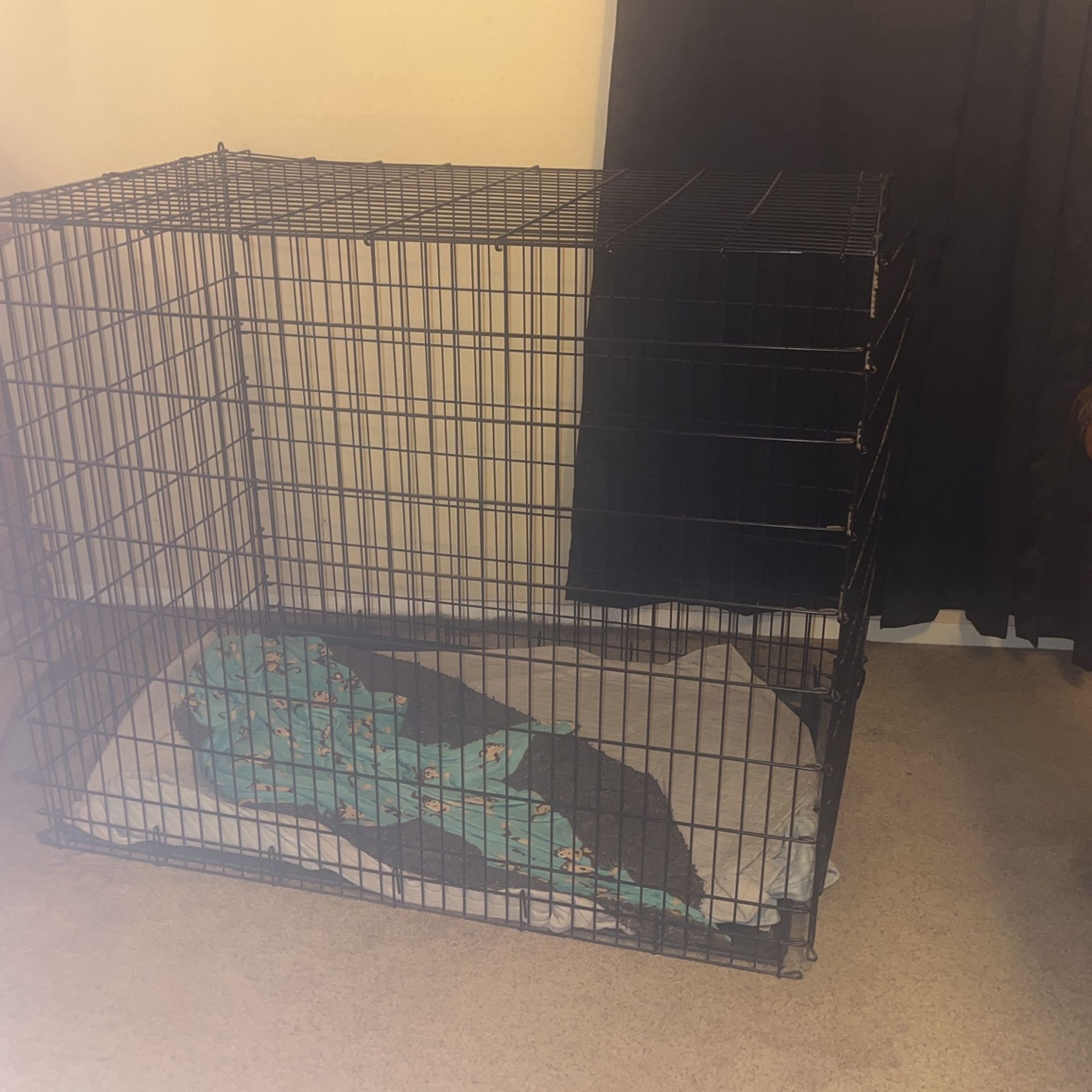 Giant Dog Kennel