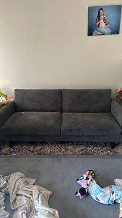 Gray Fabric Two-Seat Sofa bed