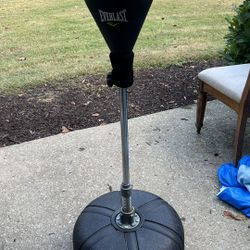Everest Punching Bag