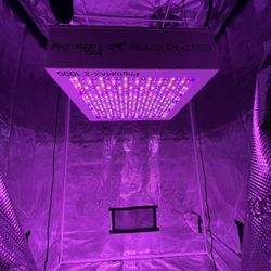 1000 watt grow light LED 💡- Phytomax 2