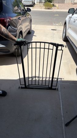 Doggy door