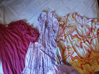 Bag of plus size dresses
