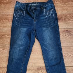 Women's Blue Embroidered Pants Size 10