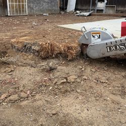 Stump Grinding 