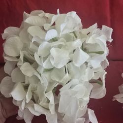 Hydrangea Single Flower Jead