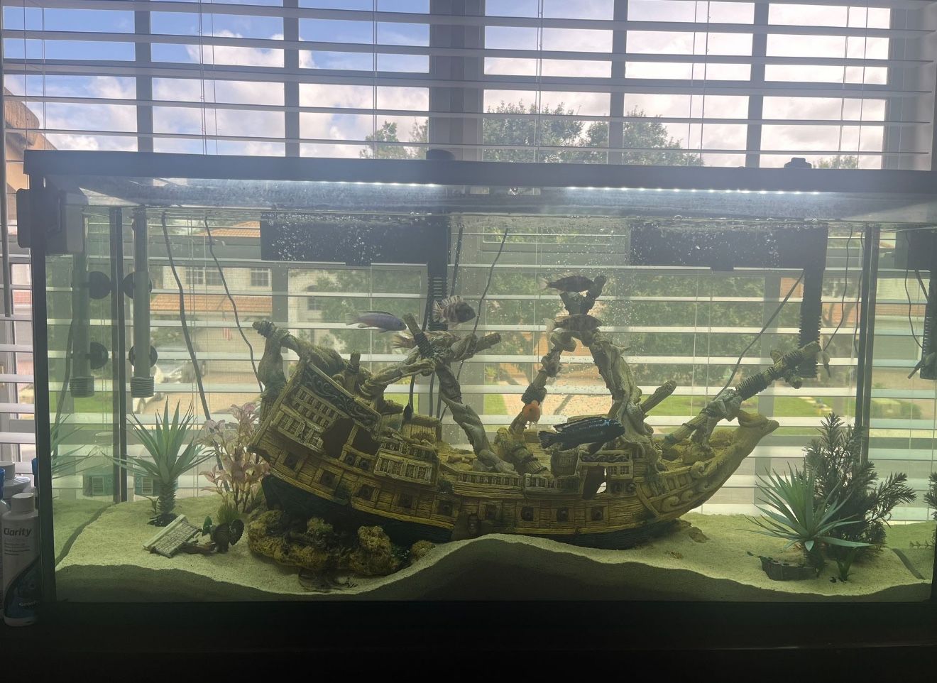 55 Gallon Fish Tank(NEEDS TO GO)