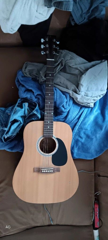 Eleca Guitar