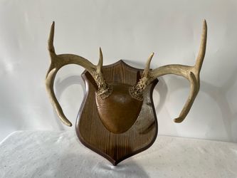 Vintage Real Deer Antler Rack 8 Point Mounted Wood Plaque Rustic Cabin Wall Decor