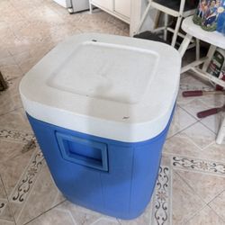 Coleman Cooler