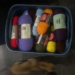 Assurance Protection Under