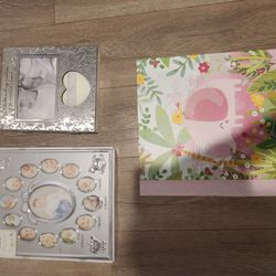 New Baby Book, Keepsake Box, 12 Month Photo Frame Mini Piggy Bank And Pink Elephant Lovey