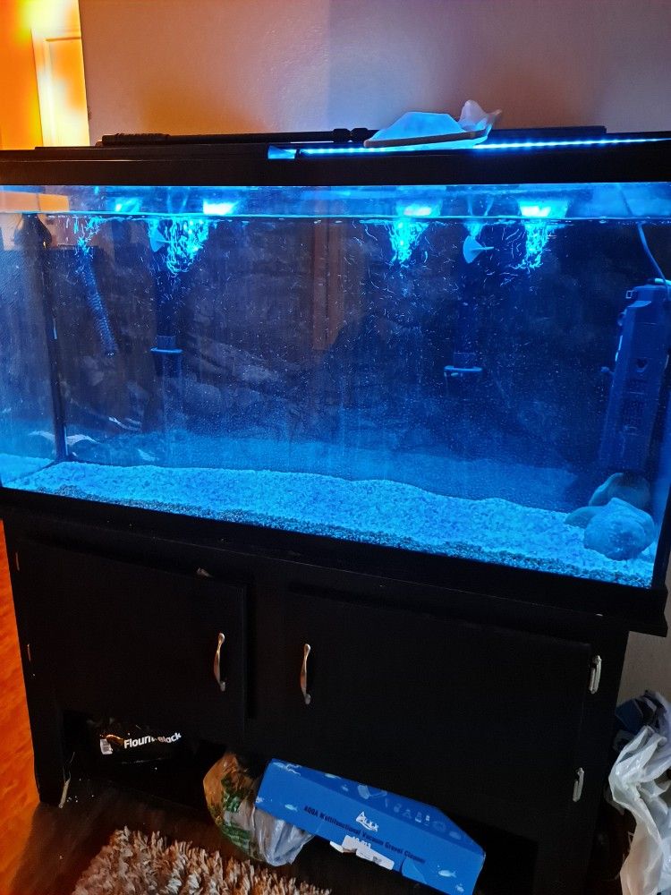 75 Gallon w/stand!