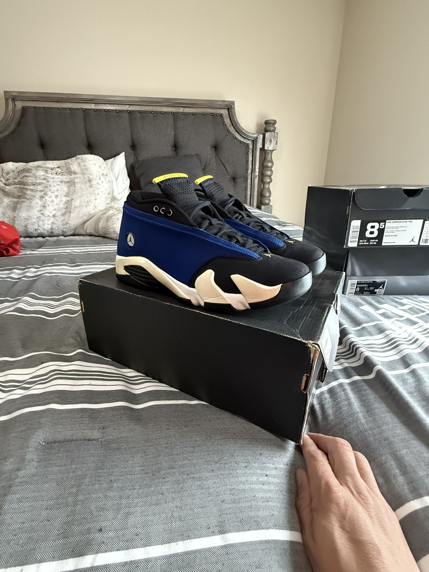 Jordan 14 Lows