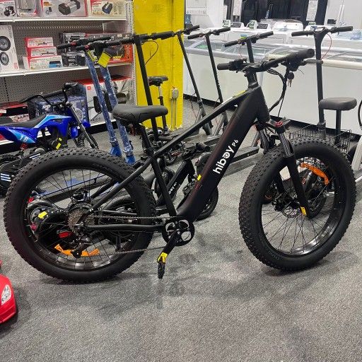 Electric Bike