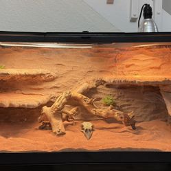 Reptiles Terrario