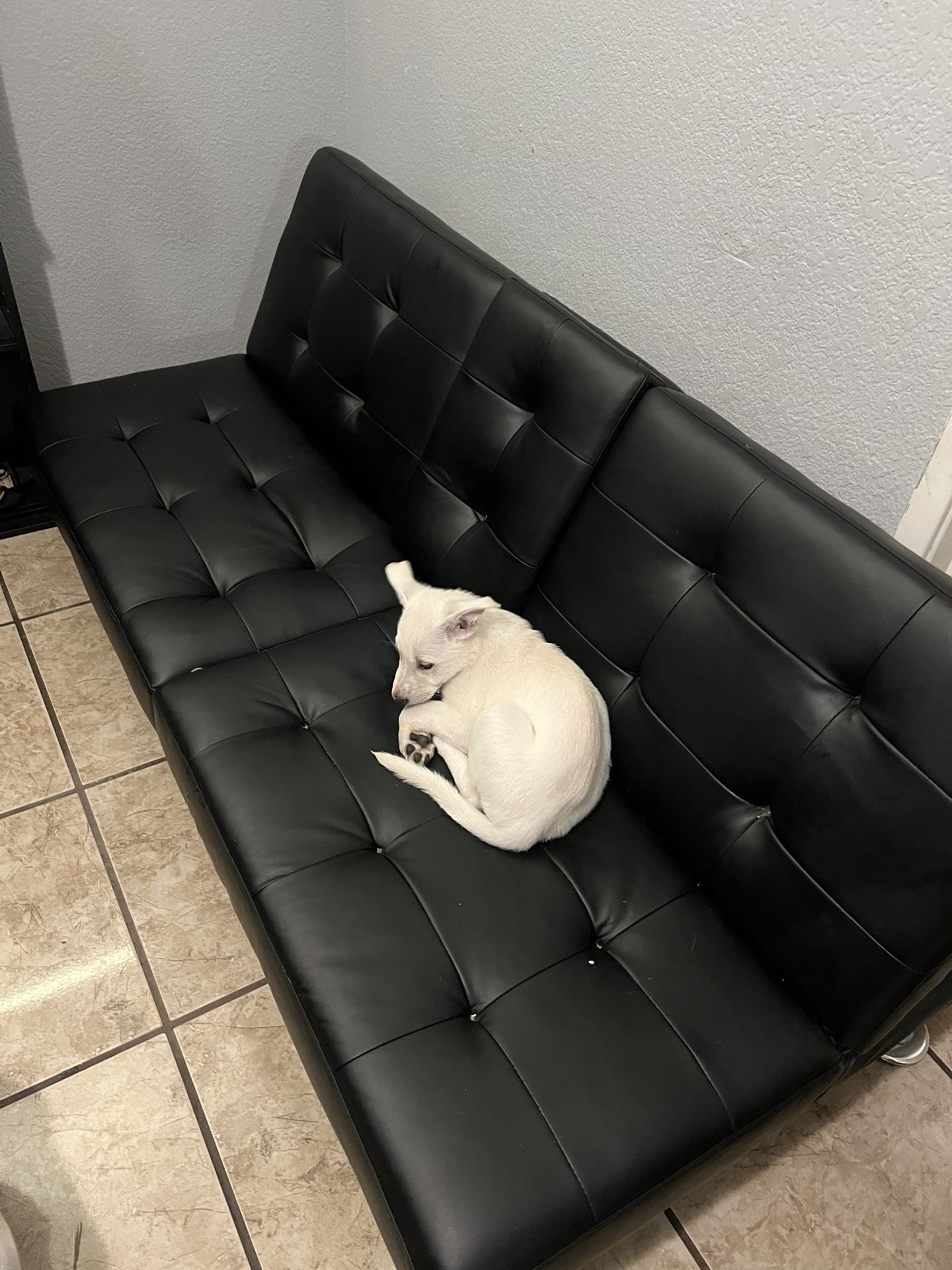 Futton, Couch Bed