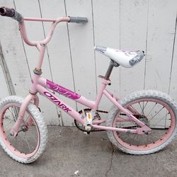 Girls Kids Bike