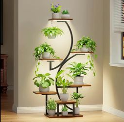 Organizador para plantas