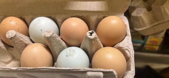 Farm fresh eggs