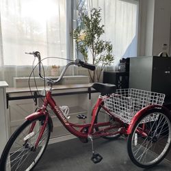 24-Inch 3-Wheel Cruiser Bike – Fun, Stable & Practical!