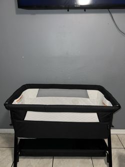Black Bassinet