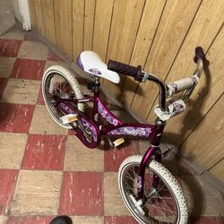 Small Giant Purple Metallic Girl Bike 
