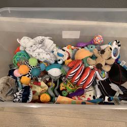 Newborn/Baby Toys