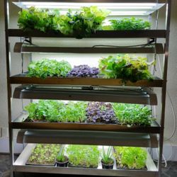 4 Tier Plant Grow Rack
