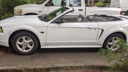 2000 Ford Mustang