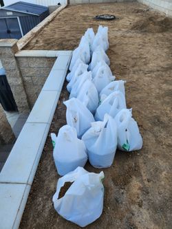 Free dirt