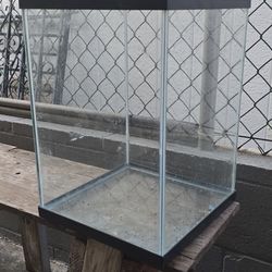 10 Gallon Fish Tank