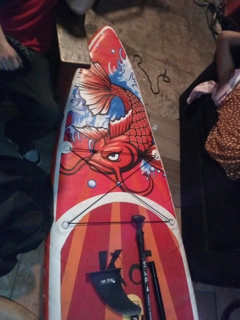 Funwater Waterboard With 1 Paddle And Pump And Other Things And Come With a It's Own Sorage Bag Only Asking 50$ For It