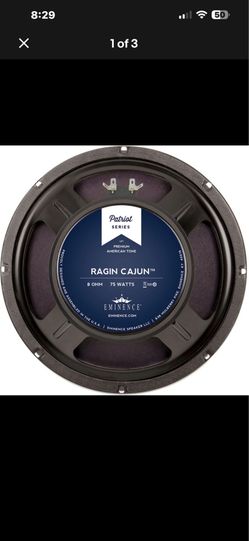 Eminence Ragin  Cajun 10” speaker upgrade