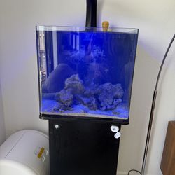 30 Gallon Cube Fish Tank With Stand And Lights
