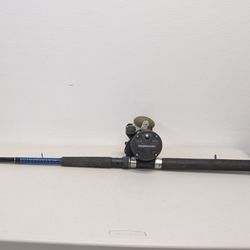 Fishing Pole And Reel