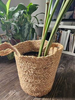 Ikea Jute Woven Plant Pot