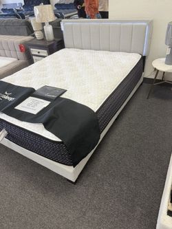Queen Size LED Platform Bed Frame