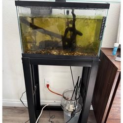 Fish Tank With Stand And Supplies 