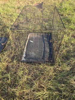 2 Large dog cages