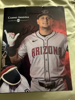 Arizona diamondbacks bobble head