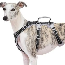 Dogs Harness Size Medium 