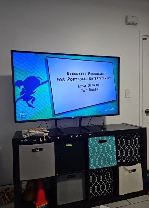 55 inch LG Flat Screen TV