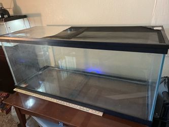 Aquarium/Terrarium 80+ Gallon Large Glass 48”x19”x21”