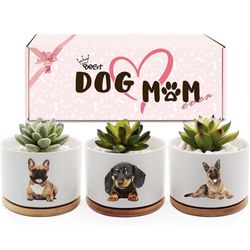 Dog Lovers Gifts Women Weiner Dog Mom, Succulent Plant Pots  Holder Dachshund Dog Planter Pots, Perfect for Birthday and Any Occasion, French Bulldog 